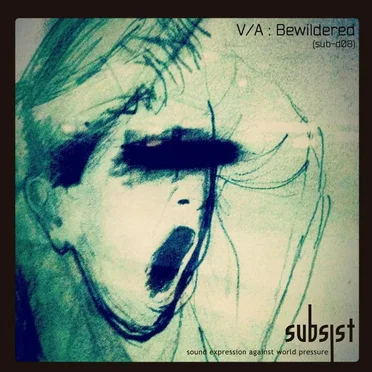 Bewildered by Various Artists - album cover