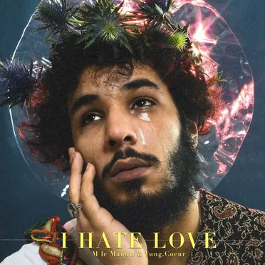I Hate Love by M Le Maudit - album cover