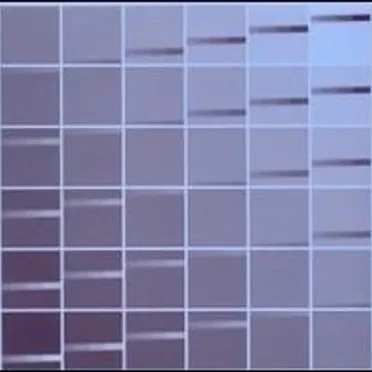 Lateral Forces