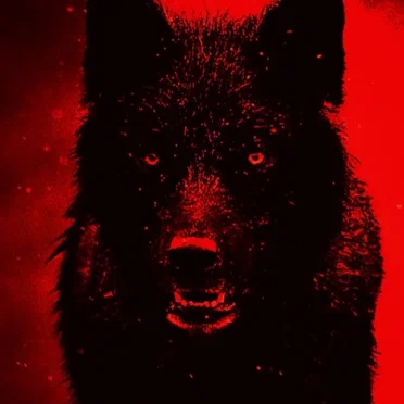 KÄMPFERNATUR I Freestyle Mittwuch