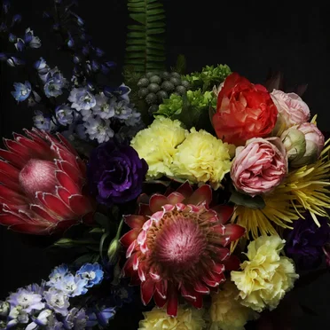 Fate in Seven Lessons