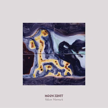 Nylon Memory by Moon Junit - album cover