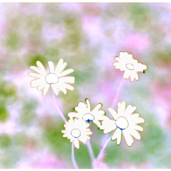 Olafur Karason and the Blurry Flower