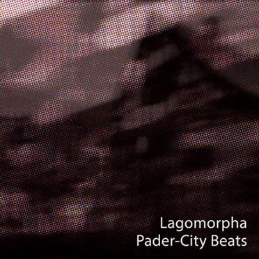 Pader-City Beats by Lagomorpha - album cover