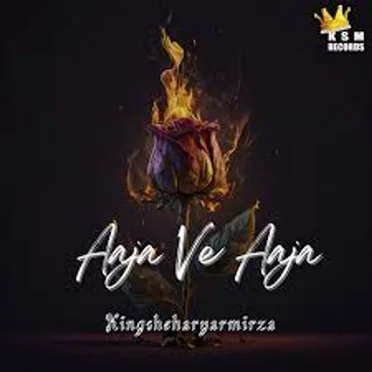 Aaja Ve Aaja by Kingsheharyarmirza - album cover