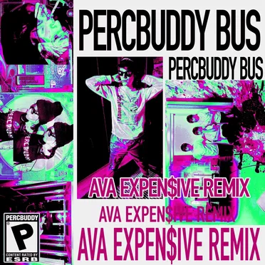PERCBUDDY BUS (remix)