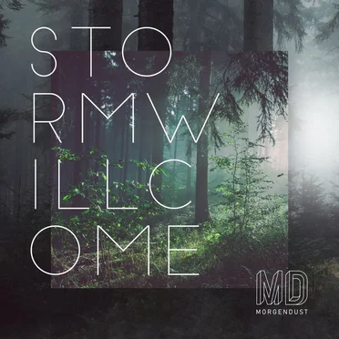Storm Will Come by Morgendust - album cover