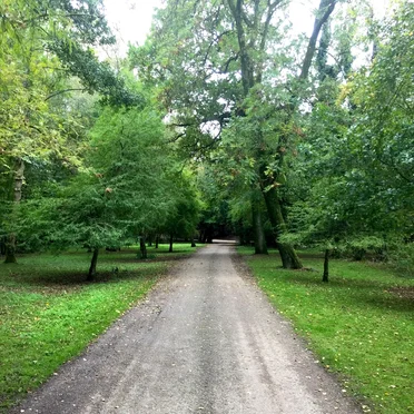 Soundwalk – Fota Wildlife Park