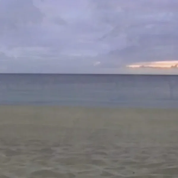 Figure the Shoreline