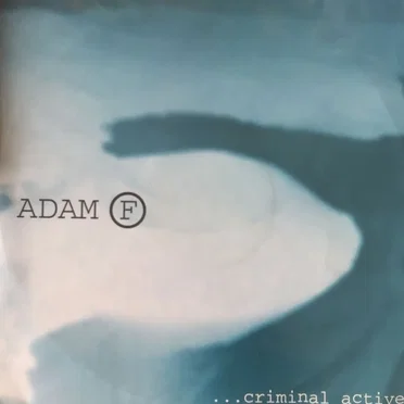 Criminal Active