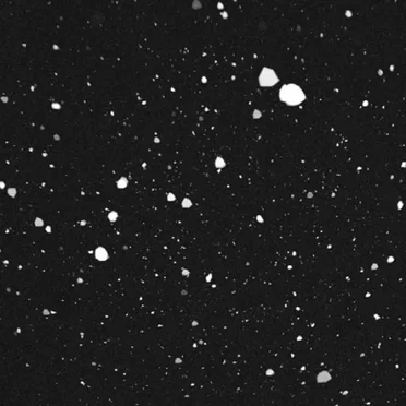 Snowflake Orchestra