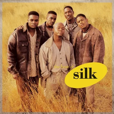 The Best Of by Silk - album cover