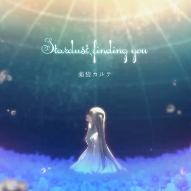 Stardust finding you by 薬袋カルテ - album cover