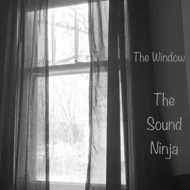 The Window