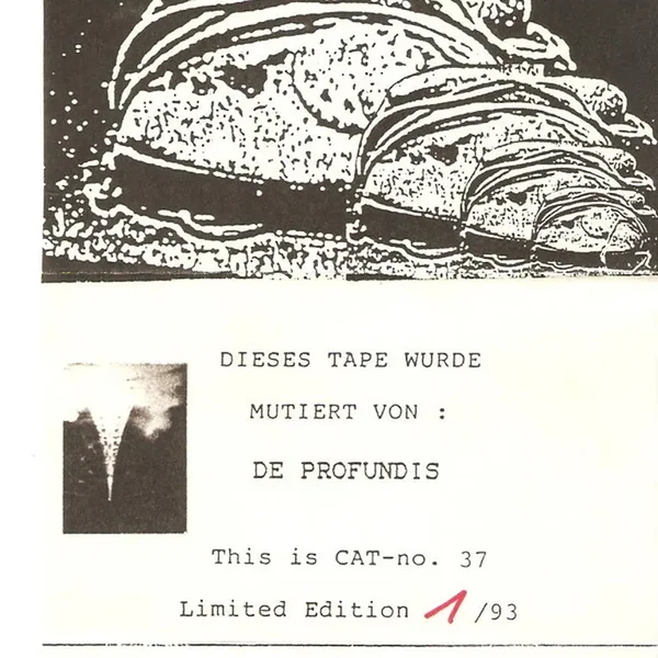 Mutation 6 / Sample 9