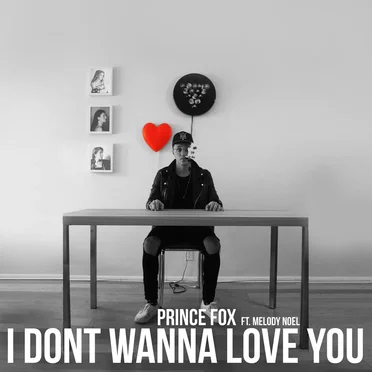 I Don’t Wanna Love You
