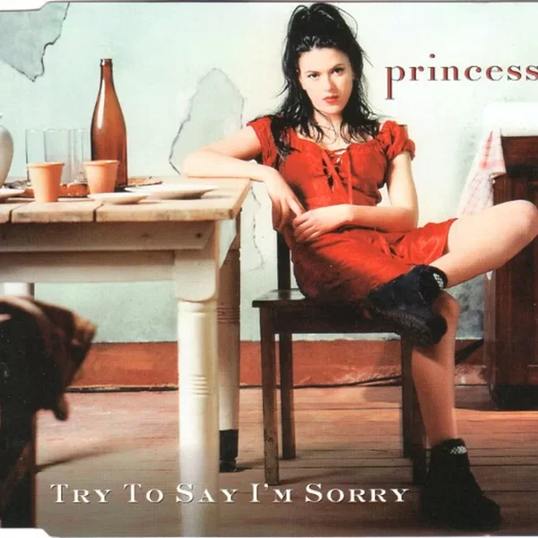 Try to Say I'm Sorry