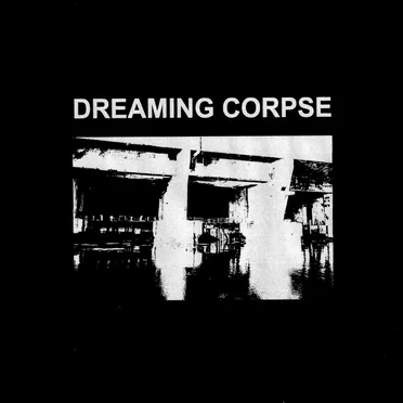 260108 by Dreaming Corpse - album cover