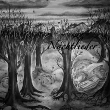 Promo 2010 by Nachtlieder - album cover