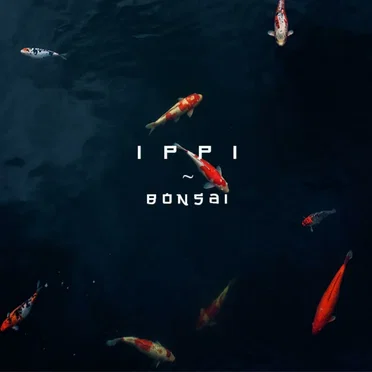 Bonsai by Ippi - album cover