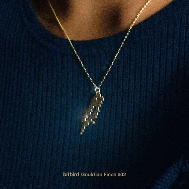 Gouldian Finch 2 by Various Artists - album cover