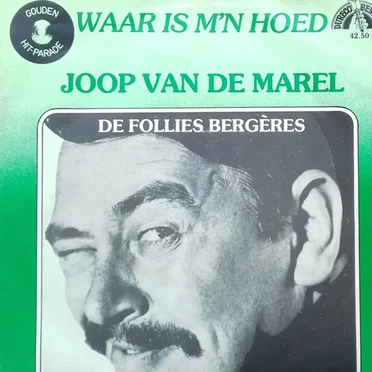 Joop van der Marel