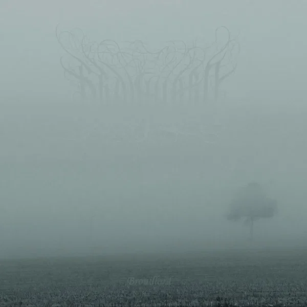 Brouillard