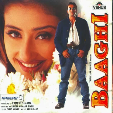 Baaghi