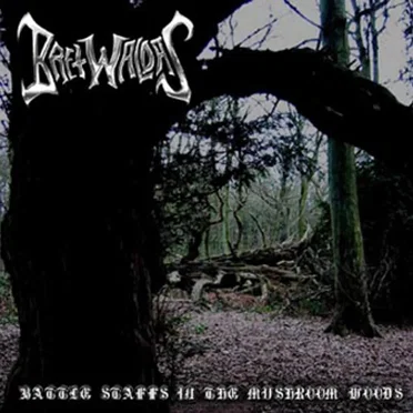 Battle Staffs in the Mushroom Fields by Bretwaldas of Heathen Doom - album cover