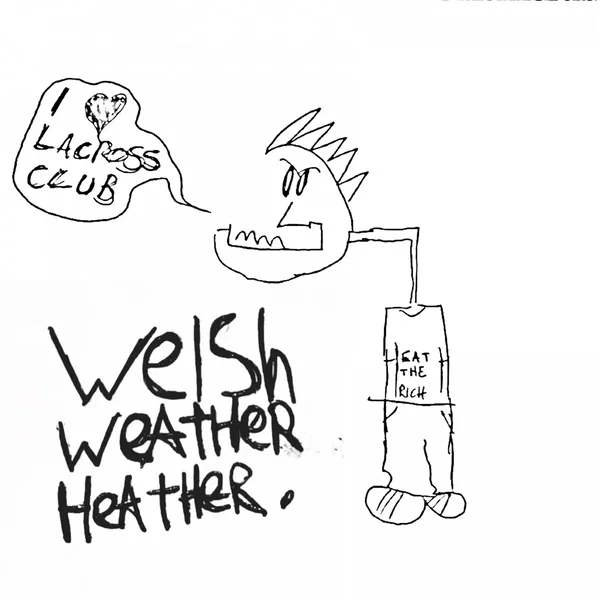 Welsh Weather Heather
