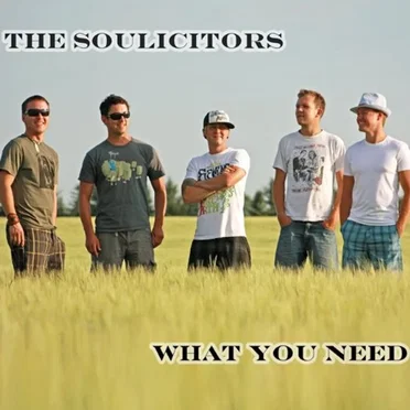 What You Need by The Soulicitors - album cover