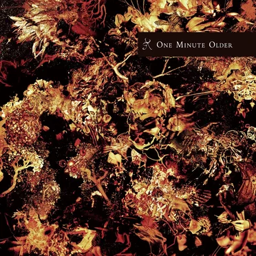 ONE MINUTE OLDER by Various Artists - album cover