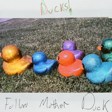 Follow Mother Duck