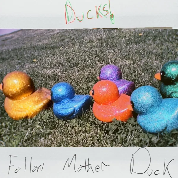 Follow Mother Duck