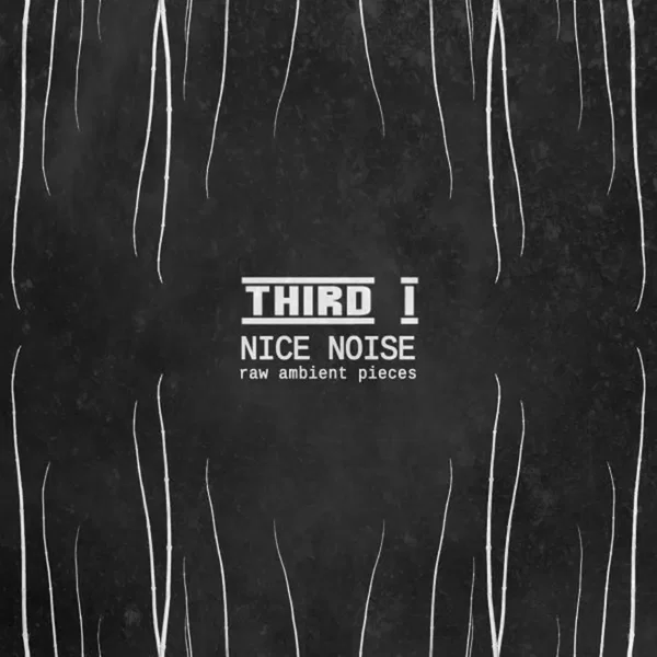 Nice Noise - Raw Ambient Pieces