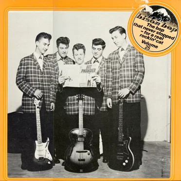 The Bop That Never Stopped, Volume 25 by Various Artists - album cover