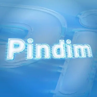Pindim by GUSTAVOEGATOTV - album cover