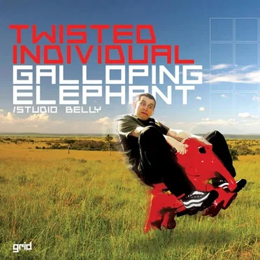 Galloping Elephant / Studio Belly