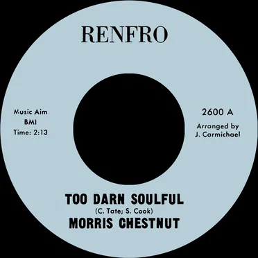 Too Darn Soulful / You Don’t Love Me Anymore by Morris Chestnut - album cover