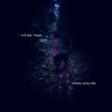 Twenty Sixty One by Wilder Beats - album cover