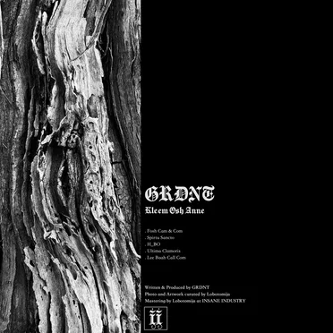 Kleem Osh Anne by GRDNT - album cover