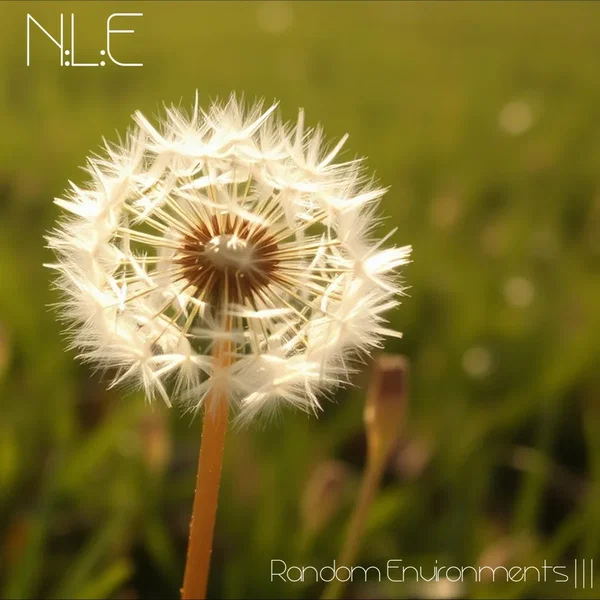 Random Environments |||