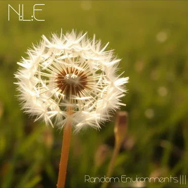 Random Environments |||