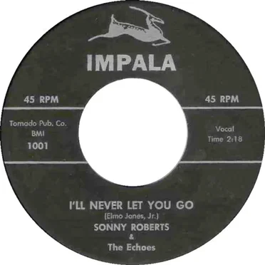I'll Never Let You Go / Honey Chile