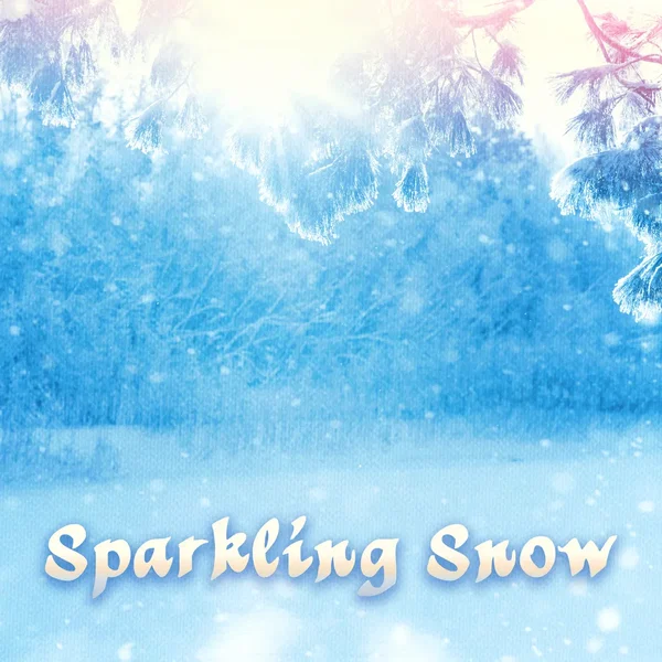 Sparkling Snow