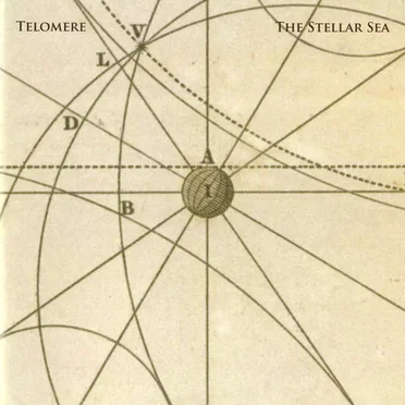 The Stellar Sea