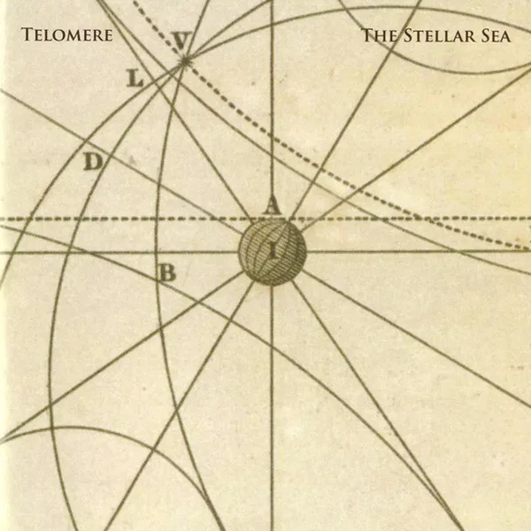 The Stellar Sea