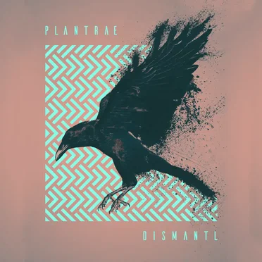 DISMANTL by plantrae - album cover