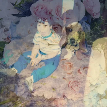 Pastel Dream by Pastel Dream - album cover