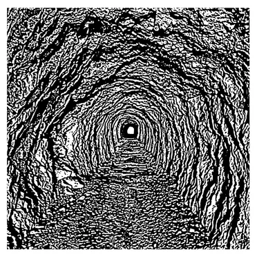 Hidden Promulgation by Various Artists - album cover